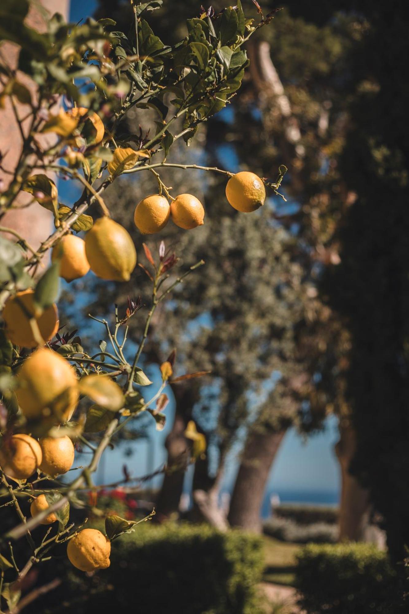 فيلا Sa Pedrissa دِيّا المظهر الخارجي الصورة
